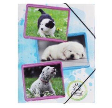 PP Elastomap - A3 - Puppies