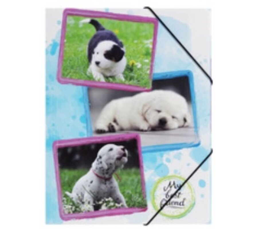 PP Elastomap - A3 - Hond - puppy
