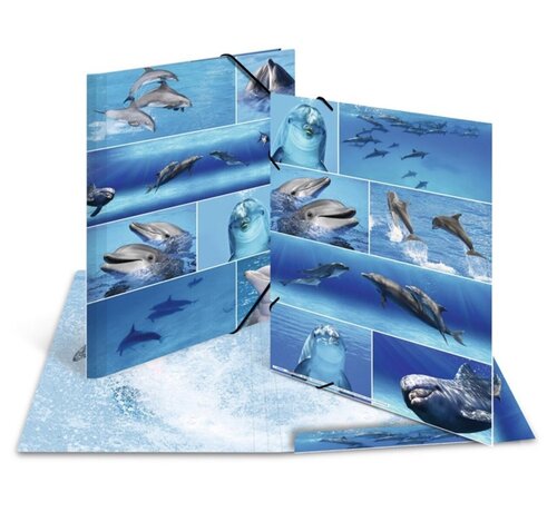Herma Dieren Elastomap - A4 - Dolfijnen