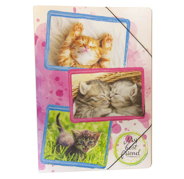 PP Elastomap - A3 - Katten