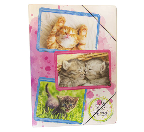 PP Elastomap - A3 - Katten