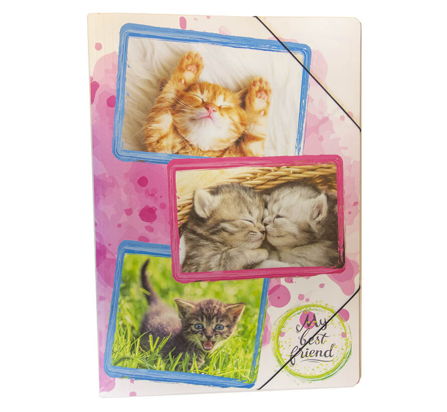 PP Elastomap - A3 - Katten