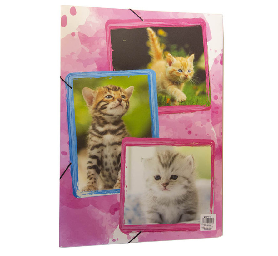 PP Elastomap - A3 - Katten