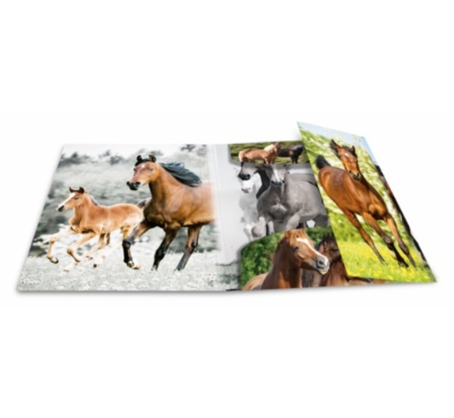 PP paarden elastomap - A4 - kunststof
