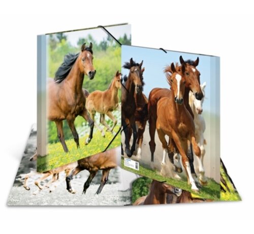 Herma PP paarden elastomap - A4 - kunststof