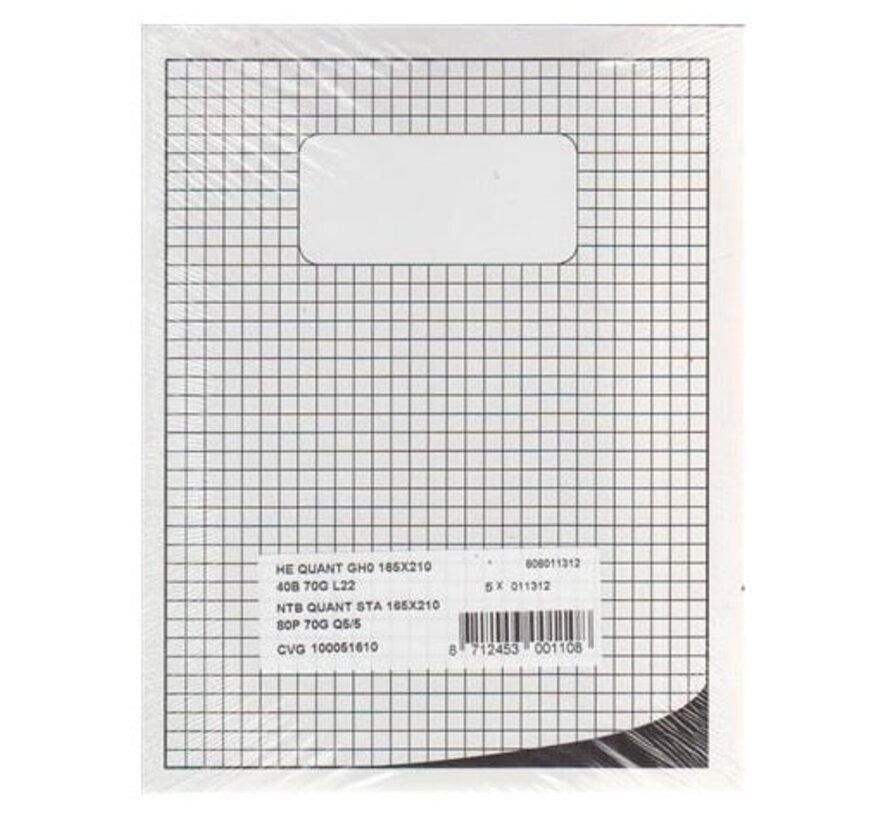 Schrift A5 - 5mm geruit - wit