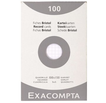 A6 Flashcards - geruit - wit - 105x148