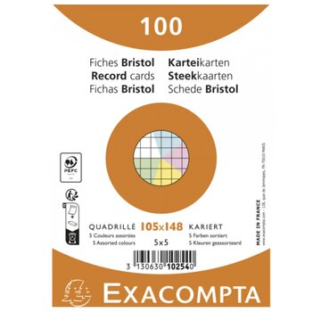 A6 Flashcards - geruit - kleur - 105x148