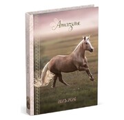Amazone Agenda 2025-2026