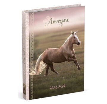 Amazone Agenda 2025-2026