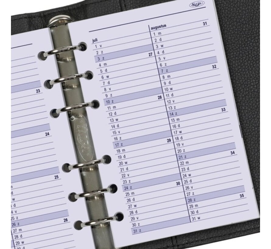 Agenda vulling 2026 - standard/personal - week overzicht