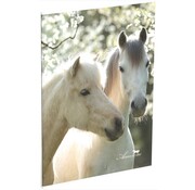 Amazone A4 ruitjes schrift