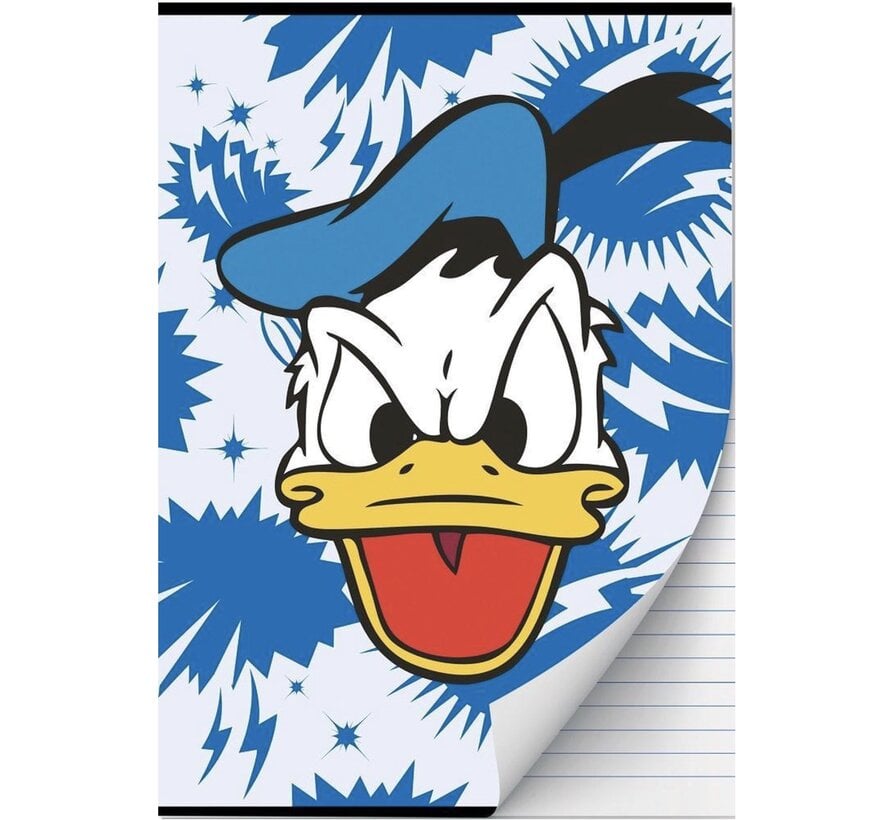 A4 schrift gelinieerd - blauw