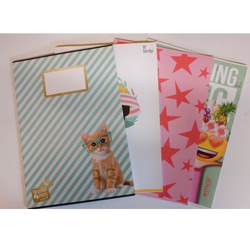 Voordeelpak - A4 schriften - VD13