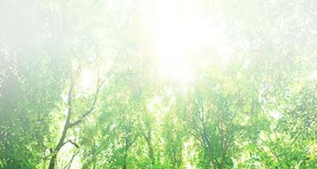 Tot 10-11 wegens onderhoud