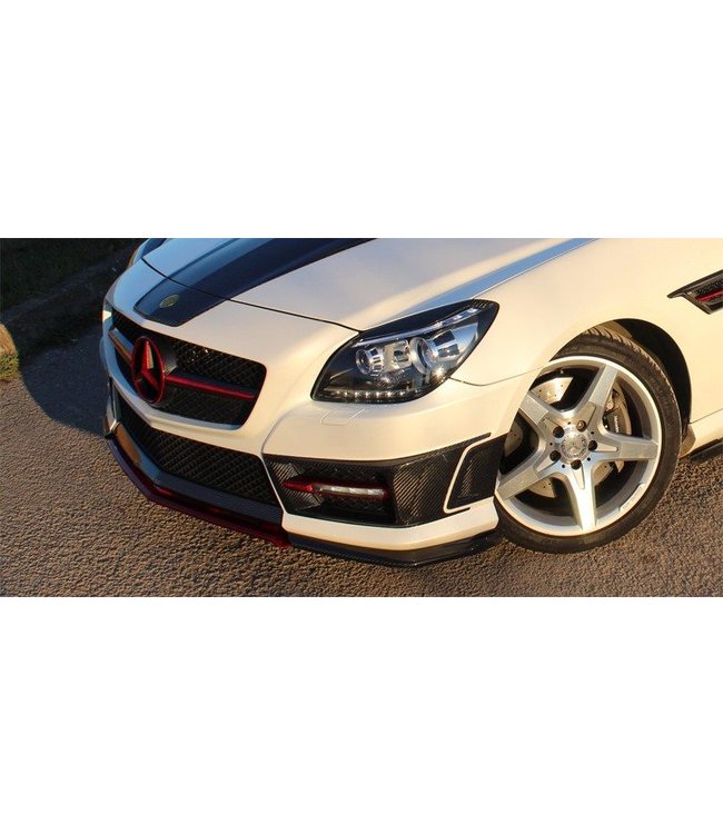Koshi Group Mercedes Benz SLK R172 Eye Brows