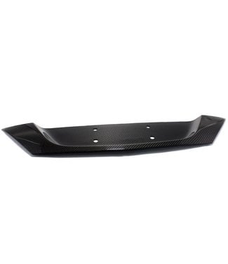 Koshi Group Mercedes Benz SLK R172 Central Back Trim Plate License