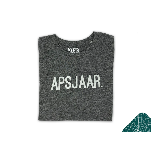 Kleir. APSJAAR. Grijze T-shirt met opdruk.