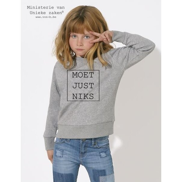 Ministerie van Unieke Zaken Moet Just Niks - grijze sweater kids