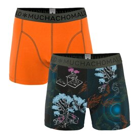 Boys 2-pack shorts Back to basic