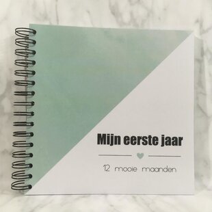 Studijoke - mijn eerste jaar - invulboek - mint groen