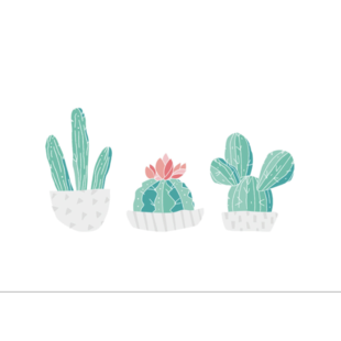 Postkaart cactus