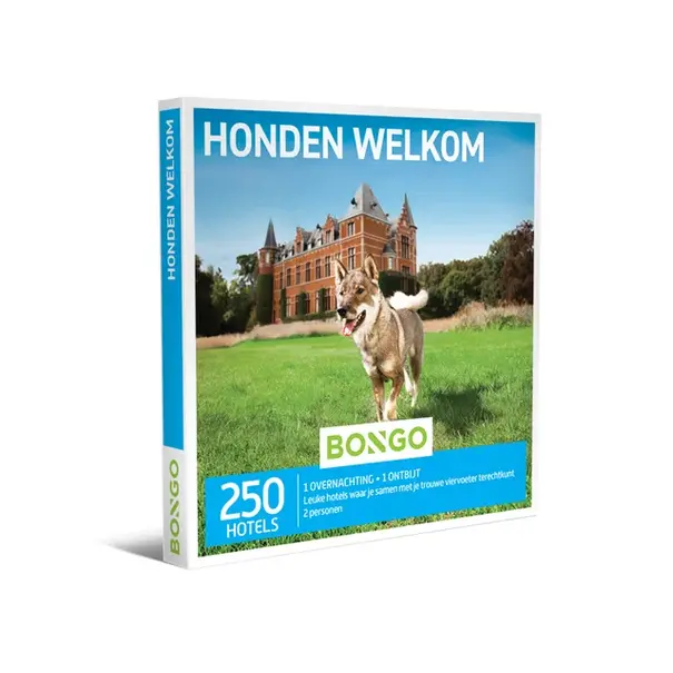 Bongo Honden Welkom