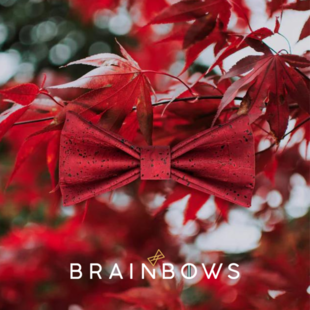 Brainbows 