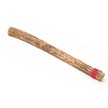 Rainstick / rainmaker cactus lengte 75 cm