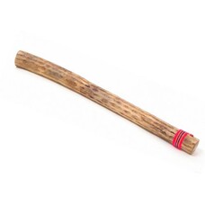 Rainstick / rainmaker cactus lengte 75 cm