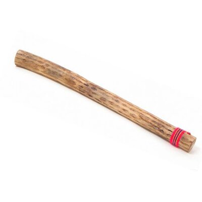 Rainstick / rainmaker cactus lengte 75 cm
