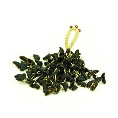 Cabalonga crispy shaker