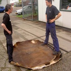 Koeievel met haar Ø 160 cm, dikte 2 - 3 mm