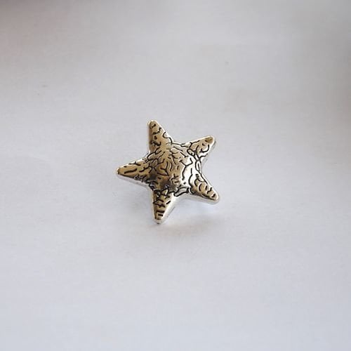 Big Silver Star Charm