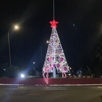 Christmas on Bonaire – Warmth, Light and Island Magic | SunSmiles