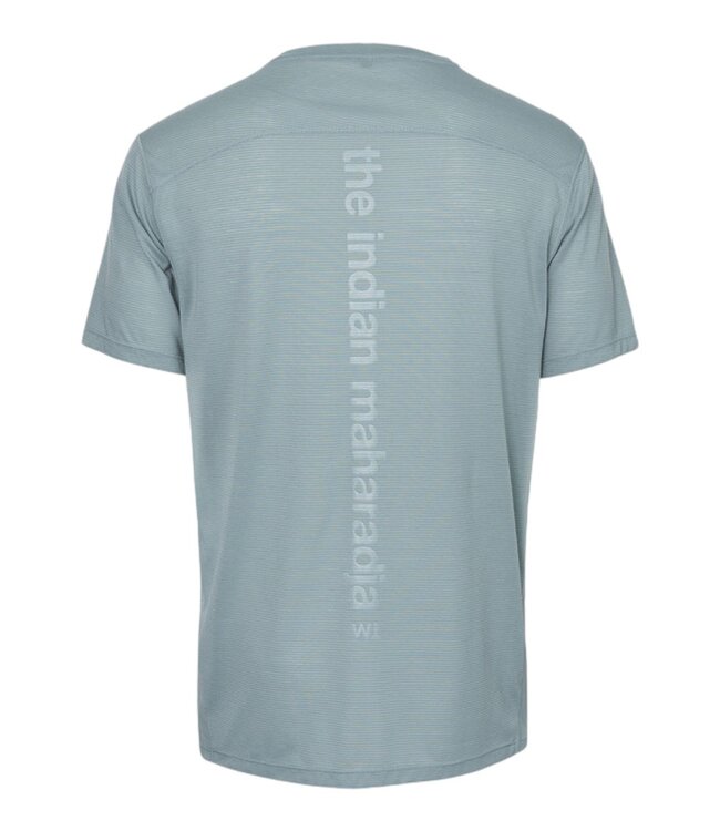 Indian maharadja Men dry touch tee Light Sage