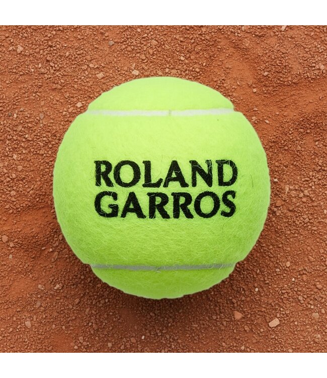 Wilson Roland Garos All court ballen 4-tin