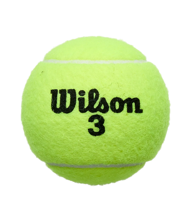 Wilson Roland Garos All court ballen 4-tin