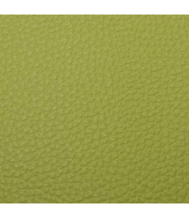 BLADI Cuir artificiel / Skai Bronco - Vert pomme