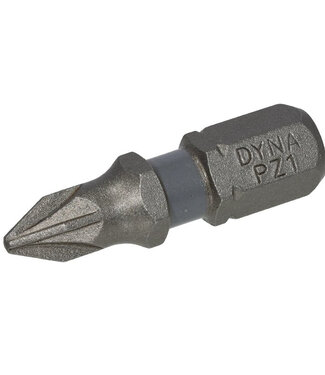 Dynaplus DYNAPLUS SCHROEFBIT 25MM PZ-1 GRIJS 10 stuks