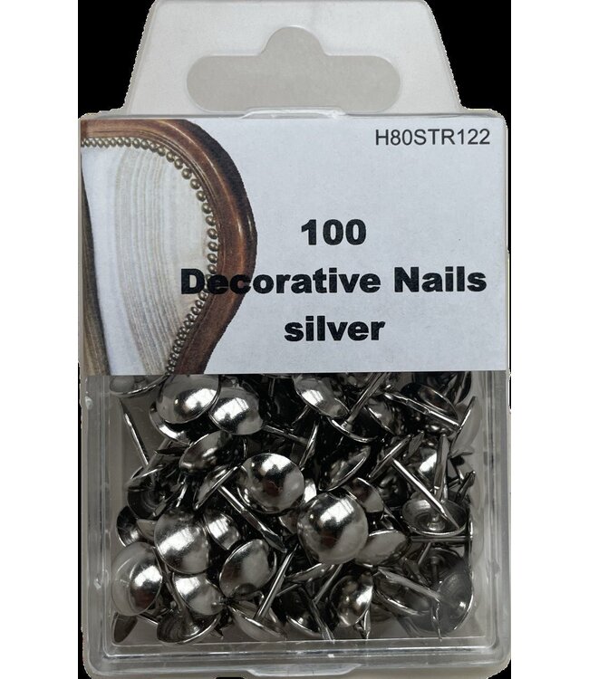 BLADI Siernagels 100 stuks - zilver glans