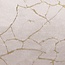 BLADI Fluweel Skali Marmer Goud - taupe