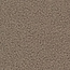 BLADI Tissu de velours en peluche bouclé - Taupe