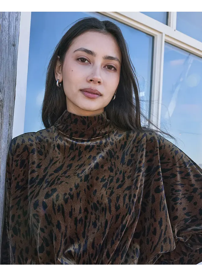 Arwen Anim Top Animal Gradient