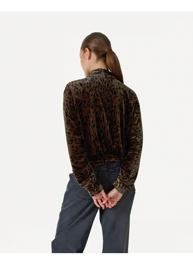 Arwen Anim Top Animal Gradient