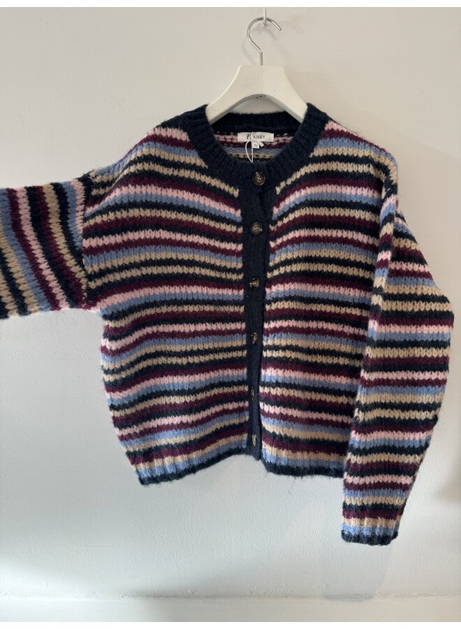 Pippo Pull Multi Blue