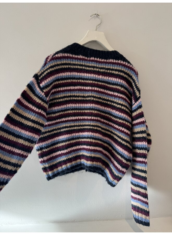 Pippo,Pull Multi Blue