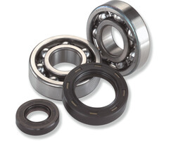 Moose Racing Kurbelwellenlager und Dichtungssatz für Kawasaki KX250F