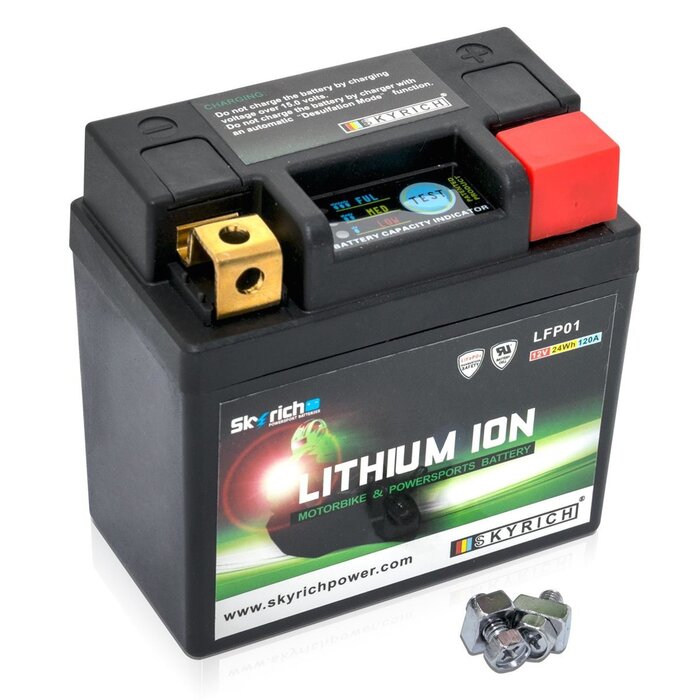 Skyrich Lithium-Ionen-Batterie LTKTM04L wartungsfrei LFP01