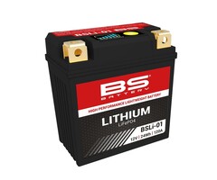 BS Battery Batterie BSLI-01 (LFP01) Lithium-ion
